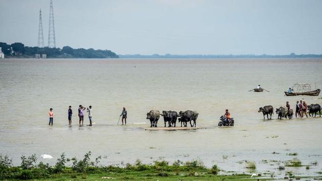 People walk with cattle along a flooded road at Sangam in Prayagraj on August 28. IMD in its weekly update on August 28 said there will be above average rains at least for the week till September 3 but rains are likely to reduce thereafter. (Sanjay Kanojia / AFP)