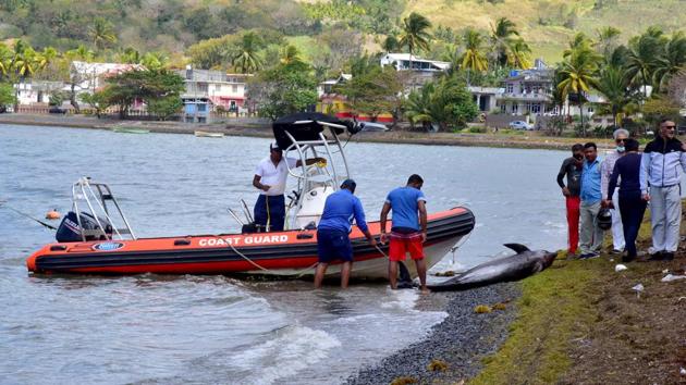 Workers load carcasses of dolphins that were washed up on shore at the Grand Sable, Mauritius on August 26. At least 40 dolphins and three whales have mysteriously died in an area of Mauritius that is affected by an oil spill from a Japanese tanker, official and witness accounts reported by multiple news agencies said on August 28. (Beekash Roopun / L'Express Maurice / REUTERS) Workers load carcasses of dolphins that were washed up on shore at the Grand Sable, Mauritius on August 26. At least 40 dolphins and three whales have mysteriously died in an area of Mauritius that is affected by an oil spill from a Japanese tanker, official and witness accounts reported by multiple news agencies said on August 28. (Beekash Roopun / L'Express Maurice / REUTERS)