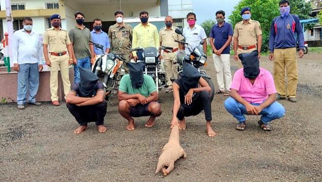 Four of the six smugglers caught with a live pangolin in Maharashtra’s Satara.(Maharashtra forest department)