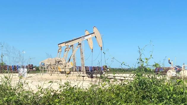 Oil pumps are seen in the Eagle Ford Shale oil field due to the coronavirus disease (Covid-19) pandemic in Karnes County, Texas, US.(Reuters File Photo)