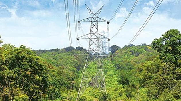 High tension power cables sag over time and animals get electrocuted after coming in contact with them. (Representative Photo) High tension power cables sag over time and animals get electrocuted after coming in contact with them. (Representative Photo)