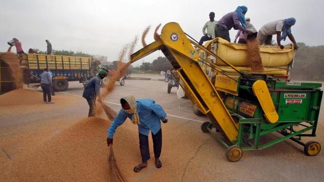 Labourers work inside a wholesale grain market during a nationwide lockdown in Chandigarh.(REUTERS)