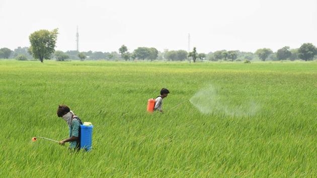 Villagers spray pesticides in a field on the outskirts of Sanand, around 30 km from Ahmedabad on September 1. The five states cited previously have also reported the maximum number of patients that have been cured and discharged, cumulatively accounting for 58.04% of the total 65,081 people who have recovered till September 1. (Sam Panthaky / AFP) Villagers spray pesticides in a field on the outskirts of Sanand, around 30 km from Ahmedabad on September 1. The five states cited previously have also reported the maximum number of patients that have been cured and discharged, cumulatively accounting for 58.04% of the total 65,081 people who have recovered till September 1. (Sam Panthaky / AFP)
