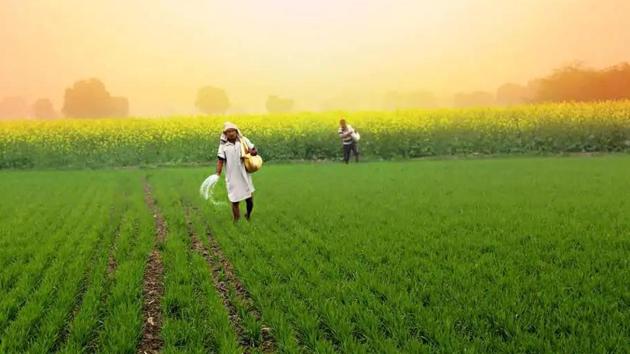 The suspended retailers charged that they get the fertilizer at a high price from wholesalers. So, they give it at a high price to farmers. (Getty images)