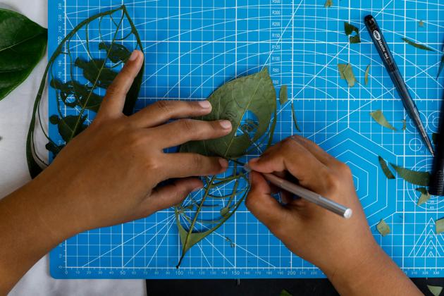 Filipino artist Mary Mae Dacanay, who lost her job due to the coronavirus disease (COVID-19) outbreak, makes portraits and illustrations out of leaves as a new source of income, in her home in Binan, Laguna, Philippines, September 1, 2020. Picture taken September 1, 2020. REUTERS/Eloisa Lopez (REUTERS) Filipino artist Mary Mae Dacanay, who lost her job due to the coronavirus disease (COVID-19) outbreak, makes portraits and illustrations out of leaves as a new source of income, in her home in Binan, Laguna, Philippines, September 1, 2020. Picture taken September 1, 2020. REUTERS/Eloisa Lopez (REUTERS)