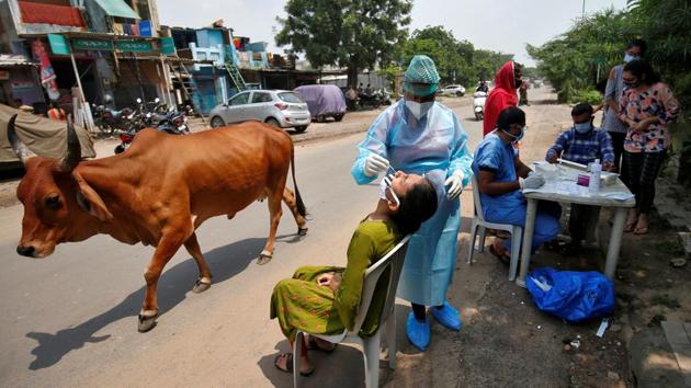 A health care worker takes a swab from a woman for a rapid antigen test as a cow walks past alongside a road in Ahmedabad on September 4. The number of total Covid-19 cases in India surpassed the 4 million-mark on September 4, a day after Brazil passed the same mark, making India the third country in the world to do so. The United States continues to lead the global case count with over 6 million cases. (Amit Dave / REUTERS) A health care worker takes a swab from a woman for a rapid antigen test as a cow walks past alongside a road in Ahmedabad on September 4. The number of total Covid-19 cases in India surpassed the 4 million-mark on September 4, a day after Brazil passed the same mark, making India the third country in the world to do so. The United States continues to lead the global case count with over 6 million cases. (Amit Dave / REUTERS)