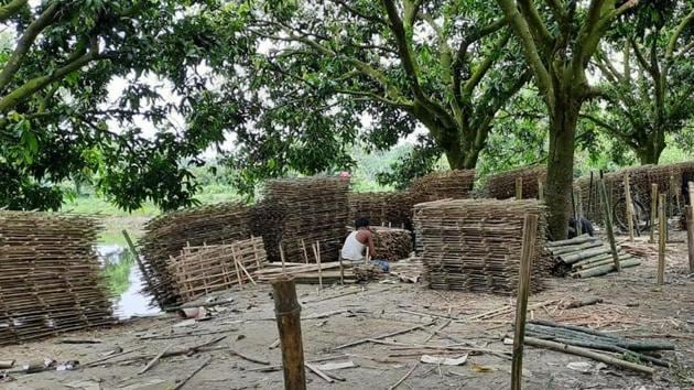 Bamboo protectors prepared at Chhatiya village in Purnia district of Bihar.(HT Photo)