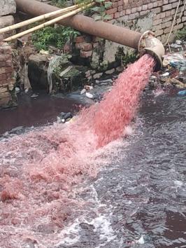 Untreated waste flowing into the Shingar cinema disposal point in Ludhiana on Saturday. (HT Photo) Untreated waste flowing into the Shingar cinema disposal point in Ludhiana on Saturday. (HT Photo)