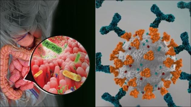 Virus in stools of Covid-19 patients indicate prolonged gut infection(Twitter/achlcme/Vtoshofficial) Virus in stools of Covid-19 patients indicate prolonged gut infection(Twitter/achlcme/Vtoshofficial)