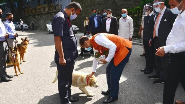 The image shows Himachal Pradesh CM Jai Ram Thakur petting the dog.(Twitter/ANI) The image shows Himachal Pradesh CM Jai Ram Thakur petting the dog.(Twitter/ANI)