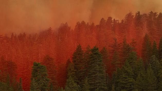 Fire retardant from a Coulson 737 firefighting tanker jet falls on a forest to slow the Bobcat Fire in the Angeles National Forest on September 10, north of Monrovia, California. California wildfires have already incinerated a record 2.3 million acres this year and are expected to continue till December. (David McNew / Getty Images / AFP) Fire retardant from a Coulson 737 firefighting tanker jet falls on a forest to slow the Bobcat Fire in the Angeles National Forest on September 10, north of Monrovia, California. California wildfires have already incinerated a record 2.3 million acres this year and are expected to continue till December. (David McNew / Getty Images / AFP)