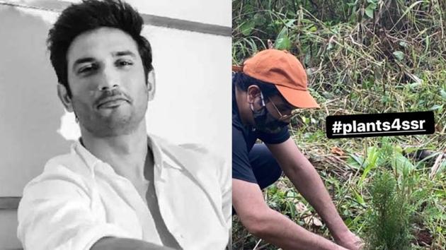 Mukesh Chhabra planted a sapling in Sushant Singh Rajput’s memory on Sunday.