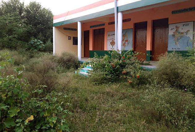 Wild growth outside the Government Smart Middle School at Kasauli village in Majri block of Mohali district.(Gurminder Singh/HT)