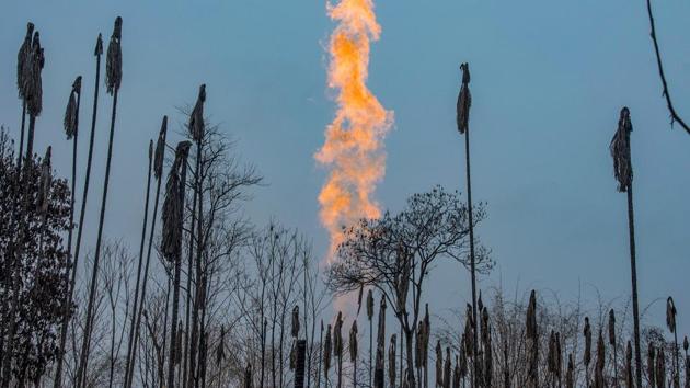 Burnt betel-nut trees are seen while a flame from well no. 5 rises in the background near Oil India Limited (OIL)’s gas well blowout site at Baghjan in Tinsukia on September 11. It’s been more than three months since a natural gas well in Baghjan had a blowout and the fire was brought under control on September 13. (Manish Sharma / PTI)