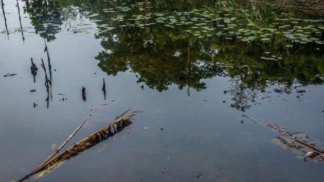 A view of a contaminated pond near OIL’s gas well blowout site in Baghjan on September 11. The fire at an Oil India Ltd well started with oil and natural gas gushing out uncontrollably on May 27 this year and it went up in flames on June 9. (Manish Sharma / PTI)