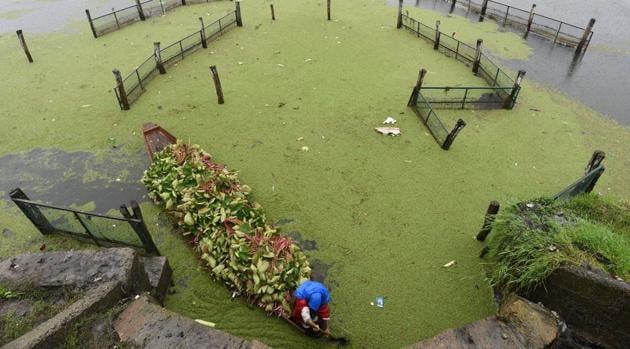 File photo: A woman docks a shikara boat loaded with lotus plants in the Dal Lake while it rains in Srinagar, Jammu and Kashmir. (Waseem Andrabi/ Hindustan Times) File photo: A woman docks a shikara boat loaded with lotus plants in the Dal Lake while it rains in Srinagar, Jammu and Kashmir. (Waseem Andrabi/ Hindustan Times)