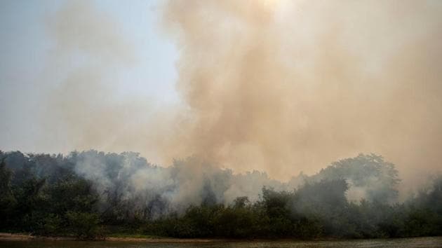 Smoke from a wildfire rises above the Encontros das Aguas Park in Mato Grosso state, Brazil, on September 15. While there aren’t exact counts, at a minimum thousands of animals have perished, according to biologist Rogério Rossi at the Federal University of Mato Grosso, reported Reuters. (Mauro Pimentel / AFP)