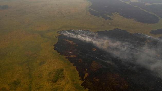 The Pantanal is smaller and less-known than the Amazon jungle. According to a Reuters report, the biggest fires in the Pantanal this year are quadruple the size of the largest fire in Brazil’s Amazon rainforest, as per data and images from NASA satellites. (Mauro Pimentel / AFP)