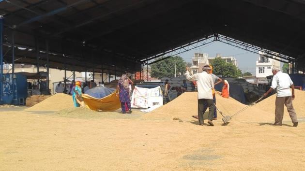 Farmers selling their produce at a grain market in Kurukshetra.(HT Photo)