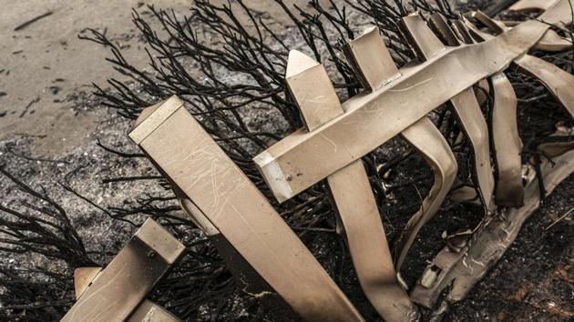 A fire-damaged white picket fence lays against a burnt brush in Phoenix in Oregon on September 16. (Nathan Howard / AFP)