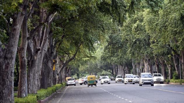 Around 1.263 million trees have been marked for felling in 2019-20 so far. In 2018-19, the number was highest at 3.036 million.(Representational Photo/HT)