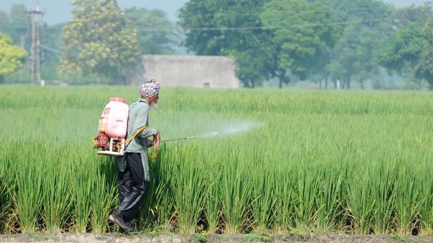 The Agriculture Produce Marketing Committee (APMC) Acts regulates the fruit and vegetable markets in the country. (Photo by Bharat Bhushan/ Hindustan Times)