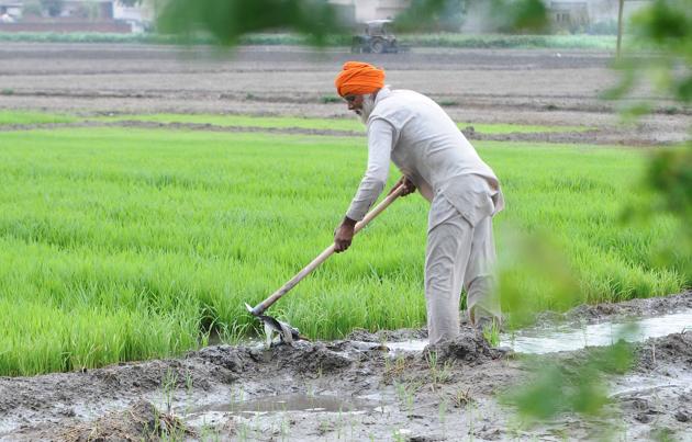 India is at the cusp of a new frontier in agriculture growth and development — one that farmers, businesses, government and consumers will build together.(Bharat Bhushan/HTPhoto)