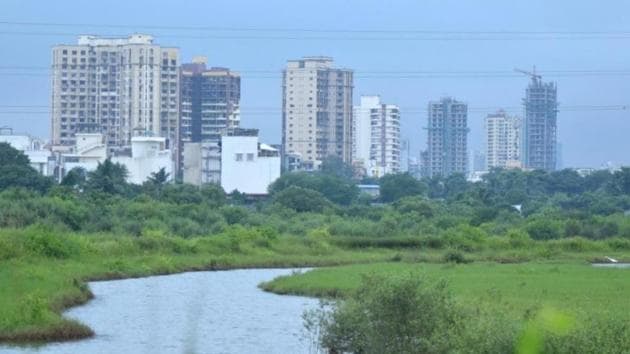Wetland patches in Gorai. The district commissioners have to submit their report within 15 days.(Photo by: Rahulratan Chauhan)
