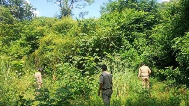 A police team on the lookout for the undertrials who managed to flee. (HT Photo) A police team on the lookout for the undertrials who managed to flee. (HT Photo)