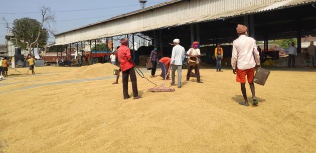 Labourers resume work at a grain market in Kurukshetra after procurement operations resumed on Tuesday.(HT Photo)