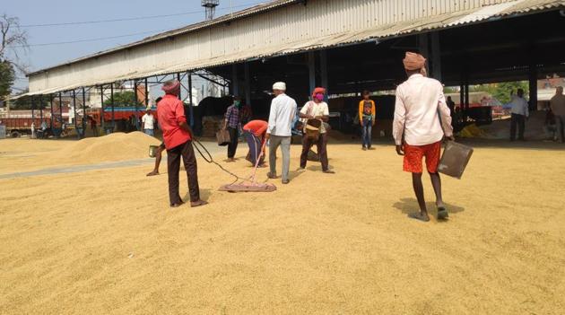 Labourers at a grain market in Kurukshetra. Procurement operations in Haryana’s mandis resumed on Tuesday.(Sourced)