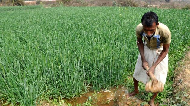 MSPs are federally fixed prices for farm produce aimed at preventing distress sale. The government buys largely rice and wheat at these prices through its procurement system.