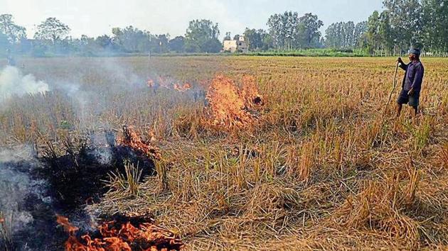 Delhi government data shows that in 2019, stubble burning in the northern states of Punjab and Haryana accounted for 44% of air pollution in the national capital.
