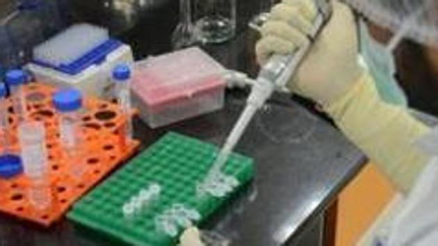 A research scientist works inside a laboratory of India's Serum Institute, the world's largest maker of vaccines, which is working on vaccines against the coronavirus disease, Pune, May 18, 2020 (REUTERS)