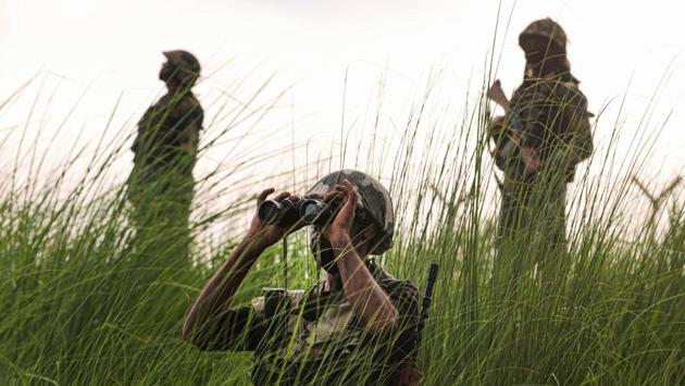 A probe conducted by the CBI into cattle smuggling at the Indo-Bangladesh border has revealed that personnel of the Border Security Force (BSF) and Customs Department may also be involved.(PTI PHOTO.)