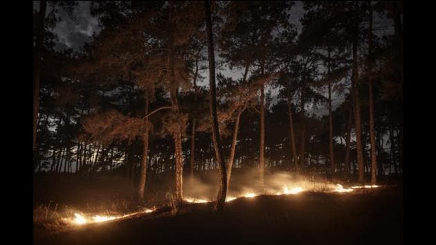 “Journeying ever deeper into a labyrinthine conflict over land, resources and identity, this area is home to vast mineral deposits - iron ore, bauxite, coal - but it is also home to India’s indigenous tribal population,” says Poulomi Basu about the jungles of central India where she photographed for nearly a decade. (Poulomi Basu) 