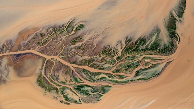“Delta Design,” Southern Ewaso Ngiro River delta, Lake Natron, Kenya. (Paul Mckenzie)