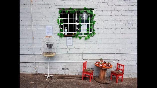 A small table decorated with succulents sits below a window.(AP) A small table decorated with succulents sits below a window.(AP)