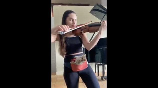 Woman Plays Violin As Cat Listens