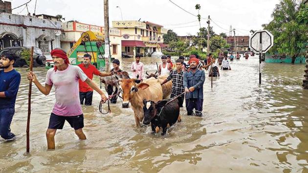 People with their cattle wade through the floodwater as they move to a safer place, in Gopalganj district, Friday, July 24, 2020.(PTi file photo) People with their cattle wade through the floodwater as they move to a safer place, in Gopalganj district, Friday, July 24, 2020.(PTi file photo)