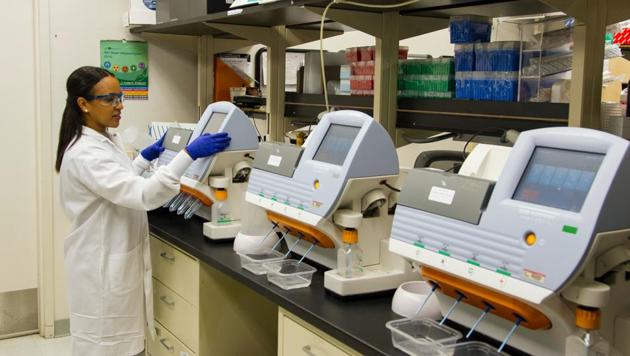 The findings, published in the journal Frontiers in Microbiology, go against the currently predominant views of the role of both viruses and these groups of single-celled organisms called protists in the marine food webs.(Unsplash) The findings, published in the journal Frontiers in Microbiology, go against the currently predominant views of the role of both viruses and these groups of single-celled organisms called protists in the marine food webs.(Unsplash)