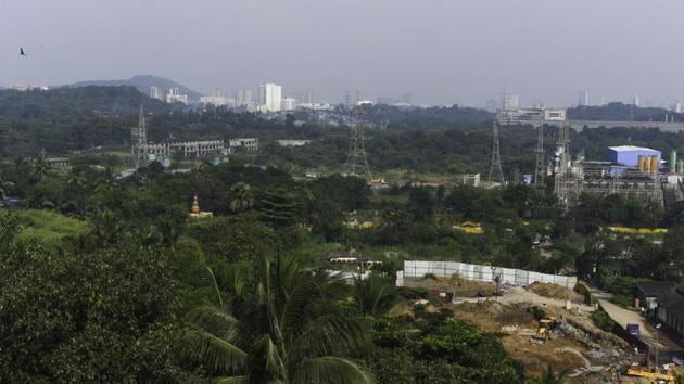 Among the green gems plotted on the map are the Karvi flower that blooms at Sanjay Gandhi National Park (above) once in eight years.(HT photo)