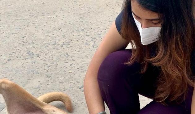 Vrinda Sharma, a Faridabad resident, has started a rehabilitation centre for dogs near her house.