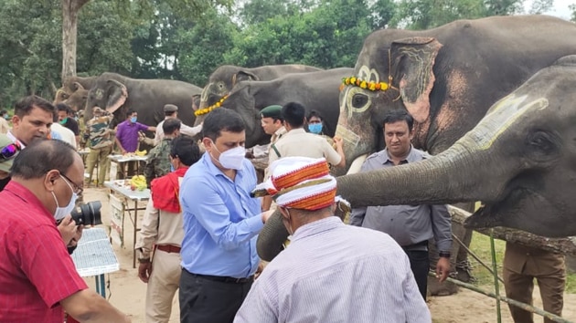 Elephants at the Bandhavgarh Tiger Reserve in Madhya Pradesh.(H PHOTO)