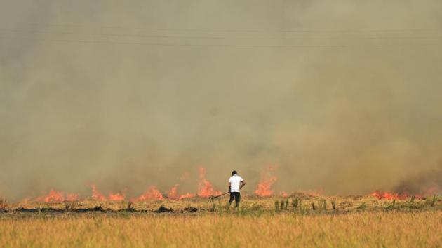 Despite a ban on stubble burning in Punjab and Haryana, farmers continue to defy it as there is a short window between harvesting of paddy and sowing of wheat.(Sameer Sehgal/HT Photo) Despite a ban on stubble burning in Punjab and Haryana, farmers continue to defy it as there is a short window between harvesting of paddy and sowing of wheat.(Sameer Sehgal/HT Photo)