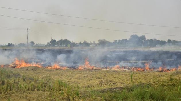 Straw stubble burning in a field after the paddy crop harvest, near Jandiala Guru in Amritsar, Punjab on Monday.(Sameer Sehgal/HT Photo) Straw stubble burning in a field after the paddy crop harvest, near Jandiala Guru in Amritsar, Punjab on Monday.(Sameer Sehgal/HT Photo)