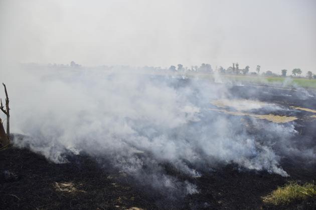 Smoke rises from straw stubble being burnt in a field after the paddy harvest. Farmers not using the Super Straw Management System (SMS) that chops the paddy residue and mixes it with earth to make mulch will be fined, the Mohali district administration announced on Tuesday.(HT Photo)