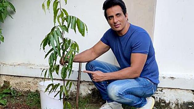Actor Sonu Sood accepted a Green India Challenge and planted saplings at Ramoji Film City.(ANI)