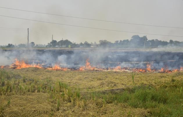 Smoke billows out of a field as a farmer burns paddy stubble near Jandiala Guru in Amritsar on September 28.((Sameer Sehgal/HT))