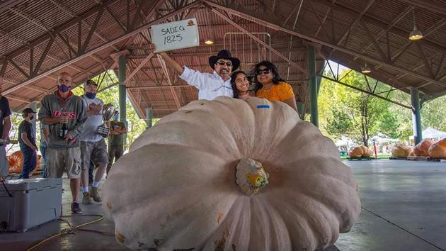 This image shows a family posing with their 1,825 pounds (828 kilograms) pumpkin.(AP)